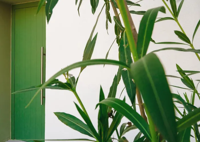 Theopisti * Ouranoupoli